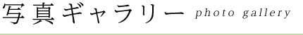 写真ギャラリー gallery